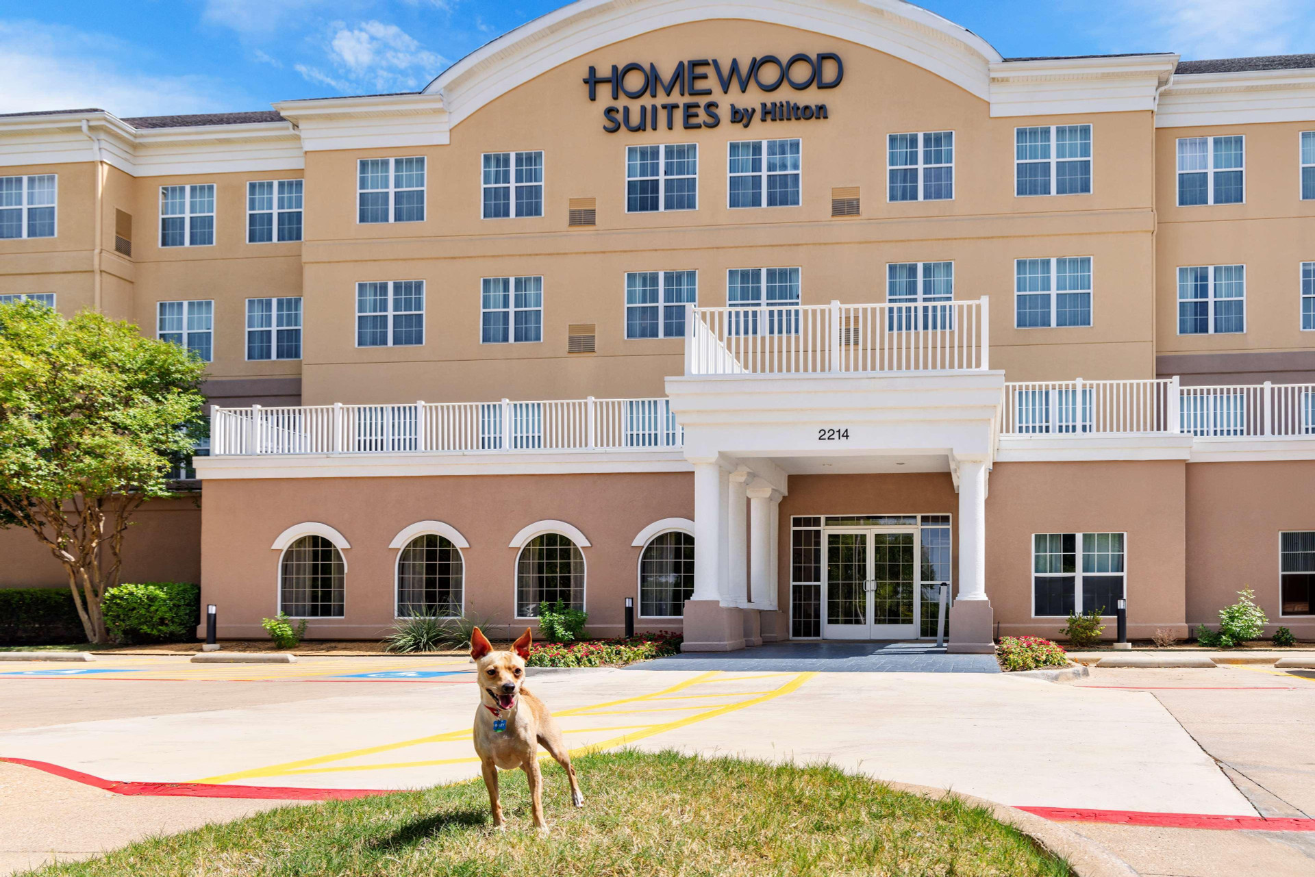 Vista Exterior Homewood Suites by Hilton Dallas-DFW Airport N-Grapevine
