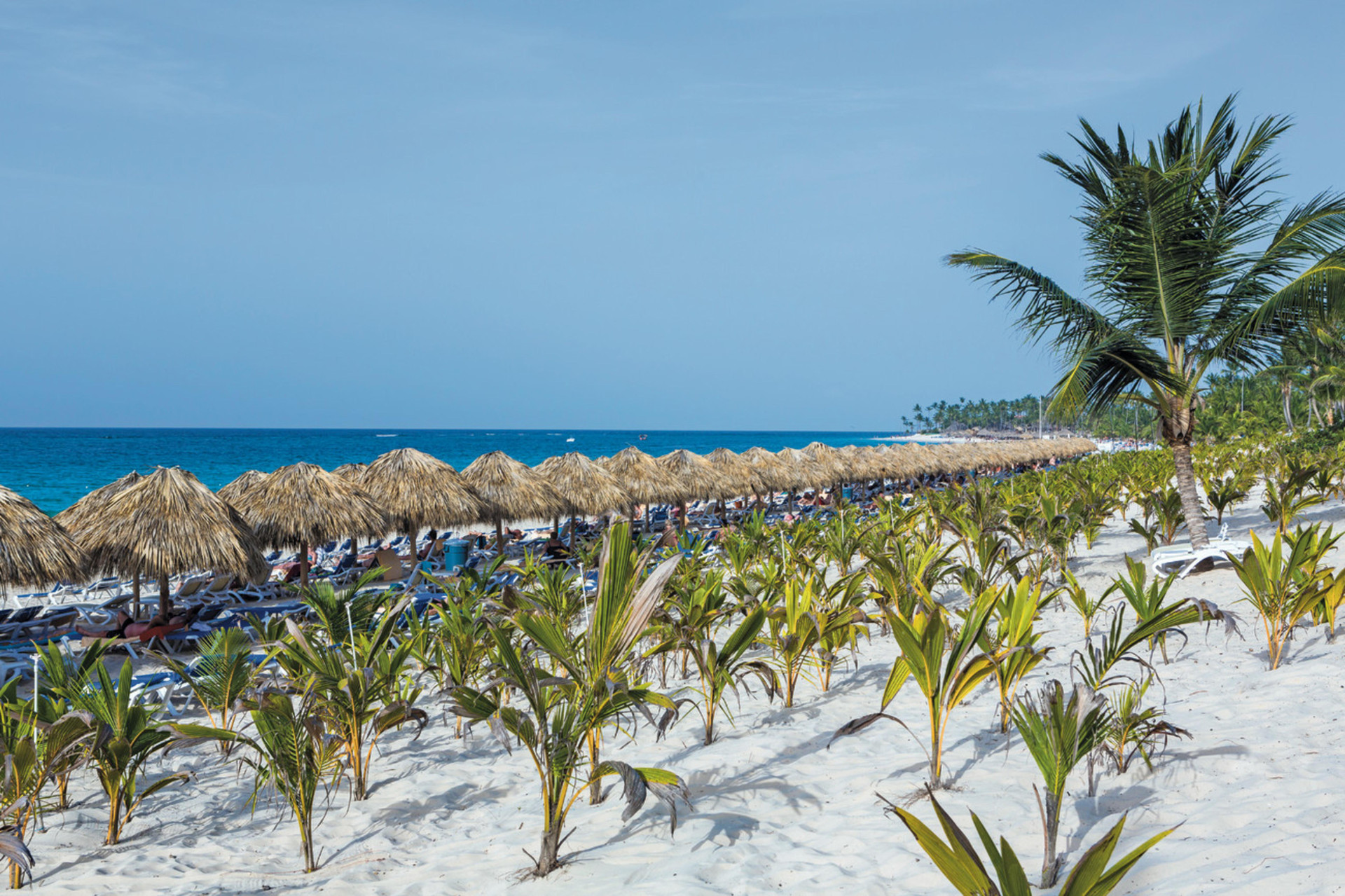 Playa Riu República - Adults Only - All Inclusive