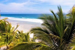 Alojamiento - W Punta Cana, Adults