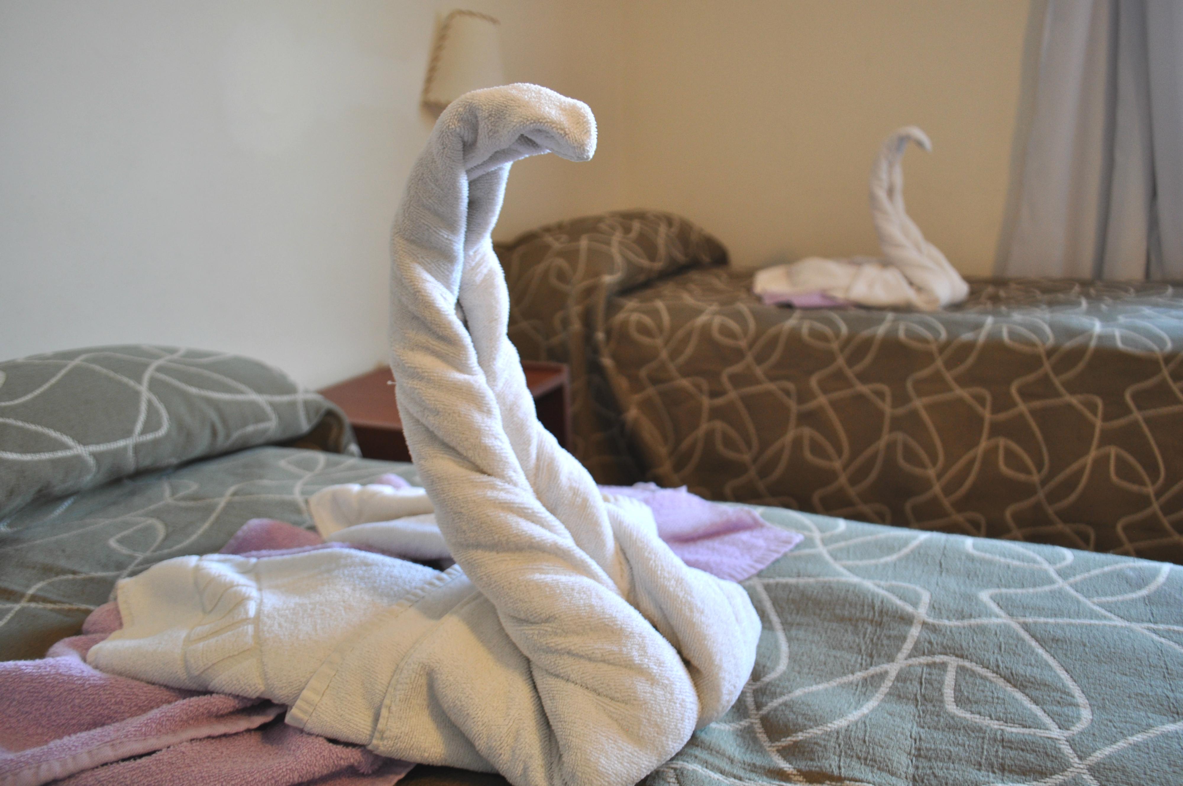 Hotel Hotel La Fontana