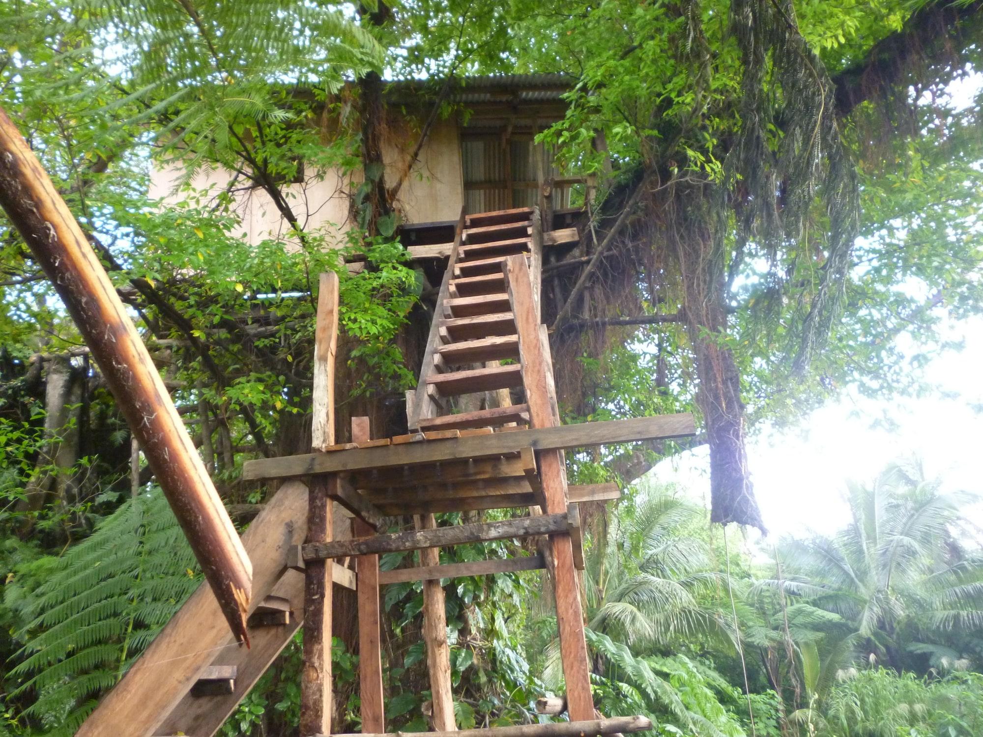 Varios Castle Tree House