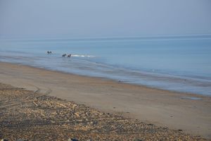Alquiler Vacacional - Villa on the seafront in Hauteville sur mer. West coast of Cotentin