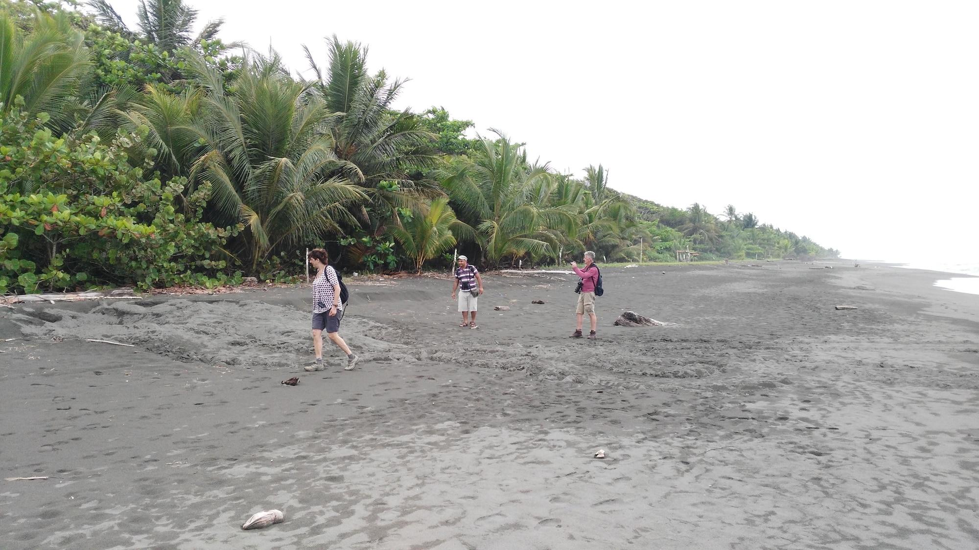 Playa Lirio Lodge