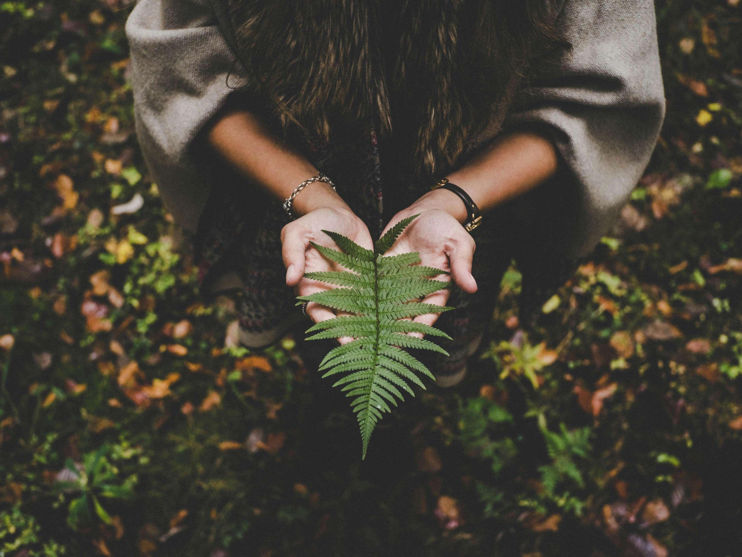 Vista Exterior ibis Styles Béziers Centre