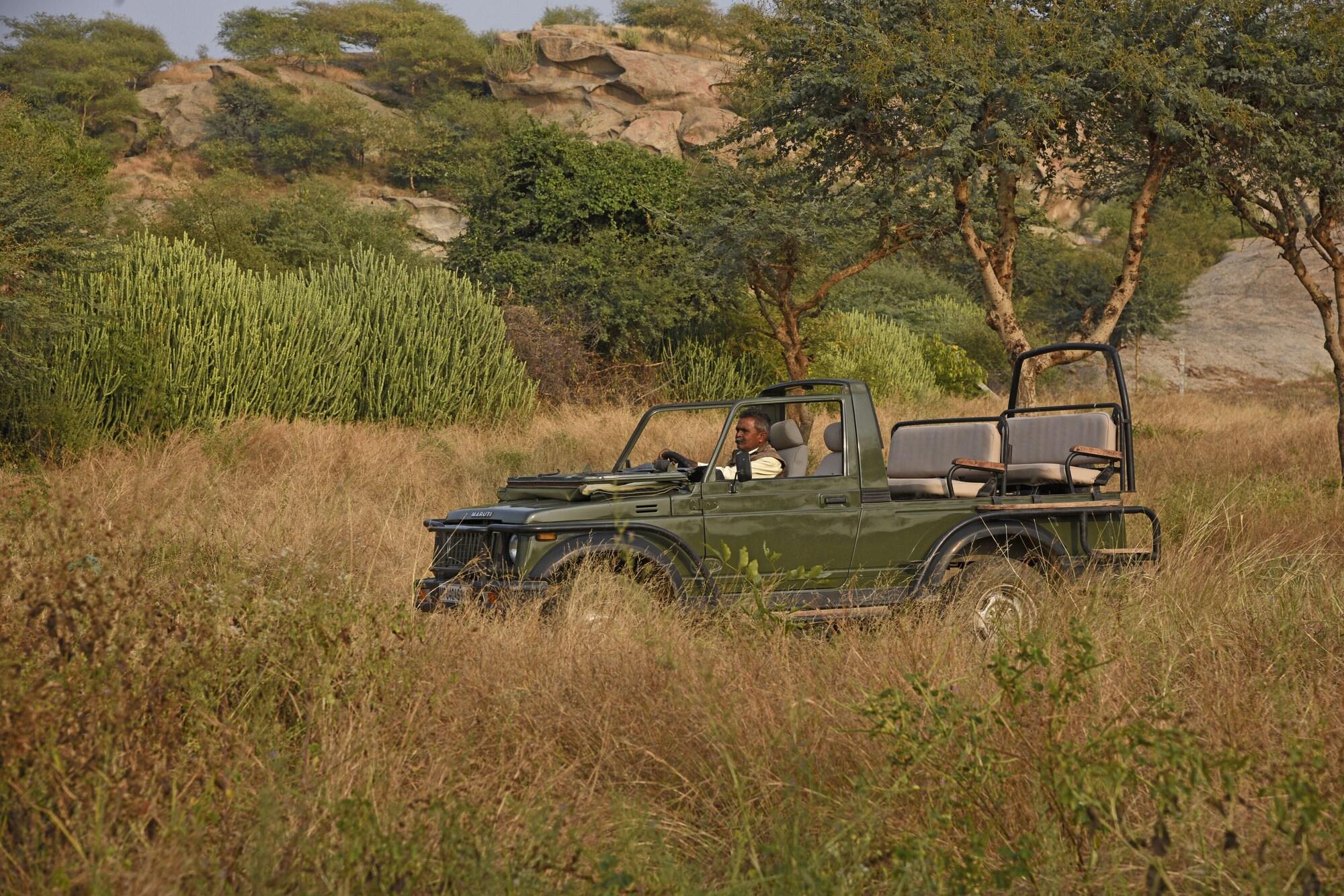Varios Jawai Leopard Safari Lodge