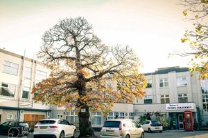 Alojamiento - Hotel Celebrity Bournemouth East Cliff by Villare Hotels