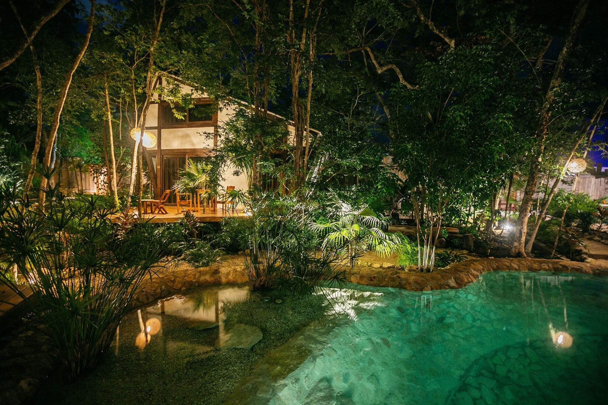 Varios Nahouse Jungle Lodges