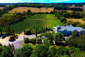 Alquiler Vacacional - Morning Sun Vineyard