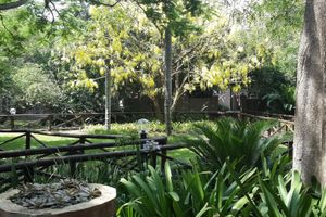 undefined - Emdoneni Lodge