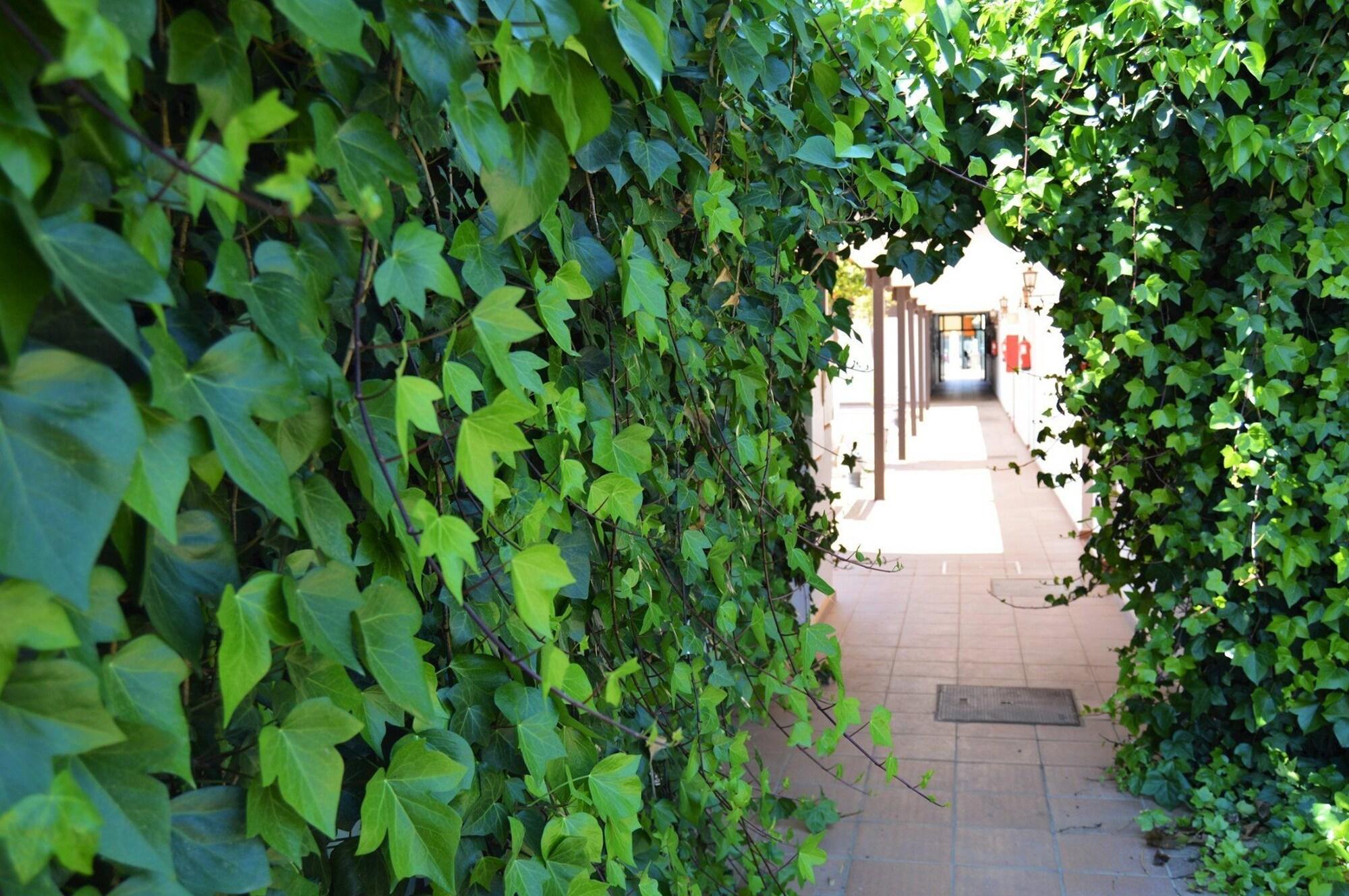 Vista Lobby Complejo Rural Nazaret de Moguer