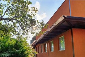 Alojamiento - Palmier Hotel