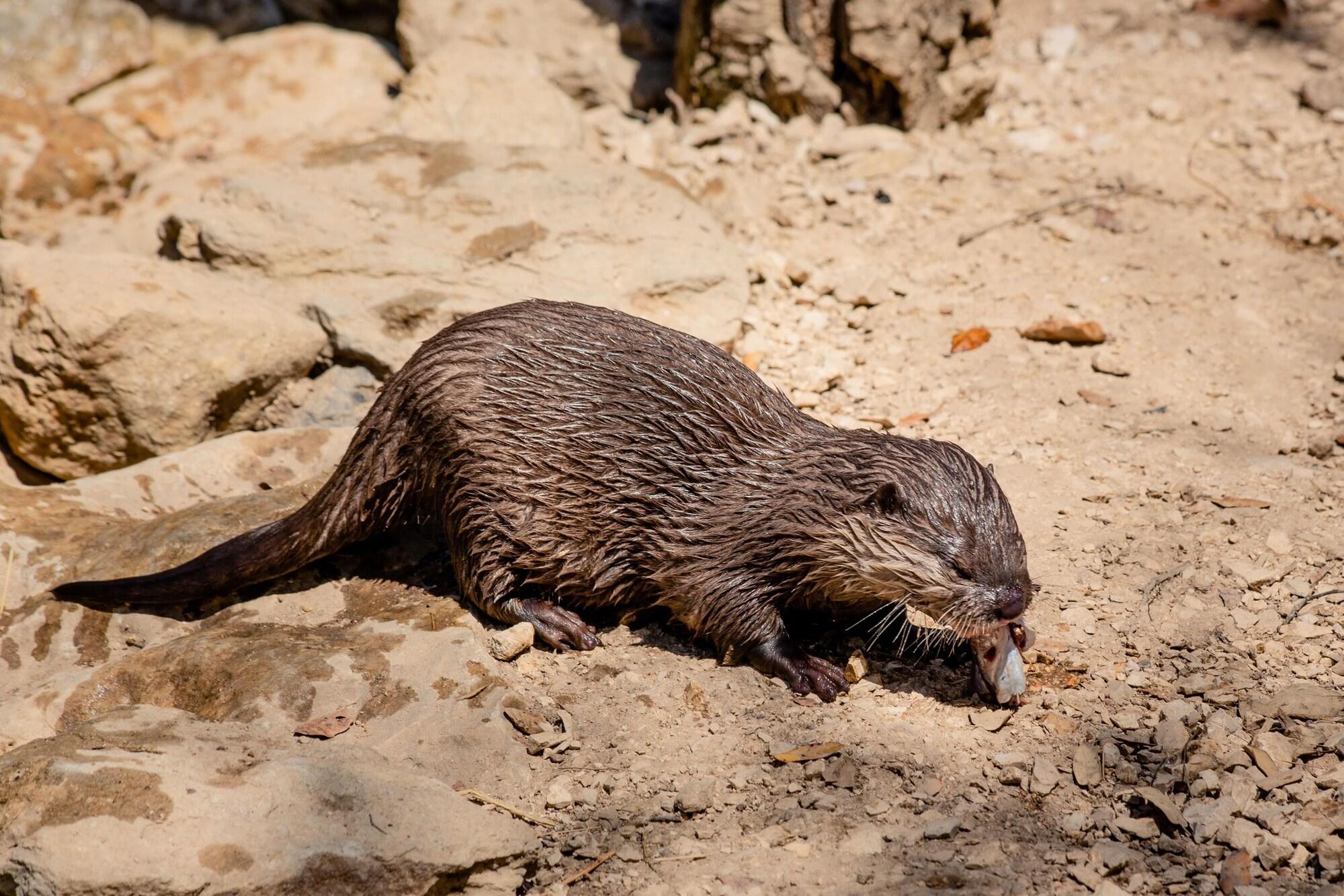 Vista Exterior Natura Fun House & Camping