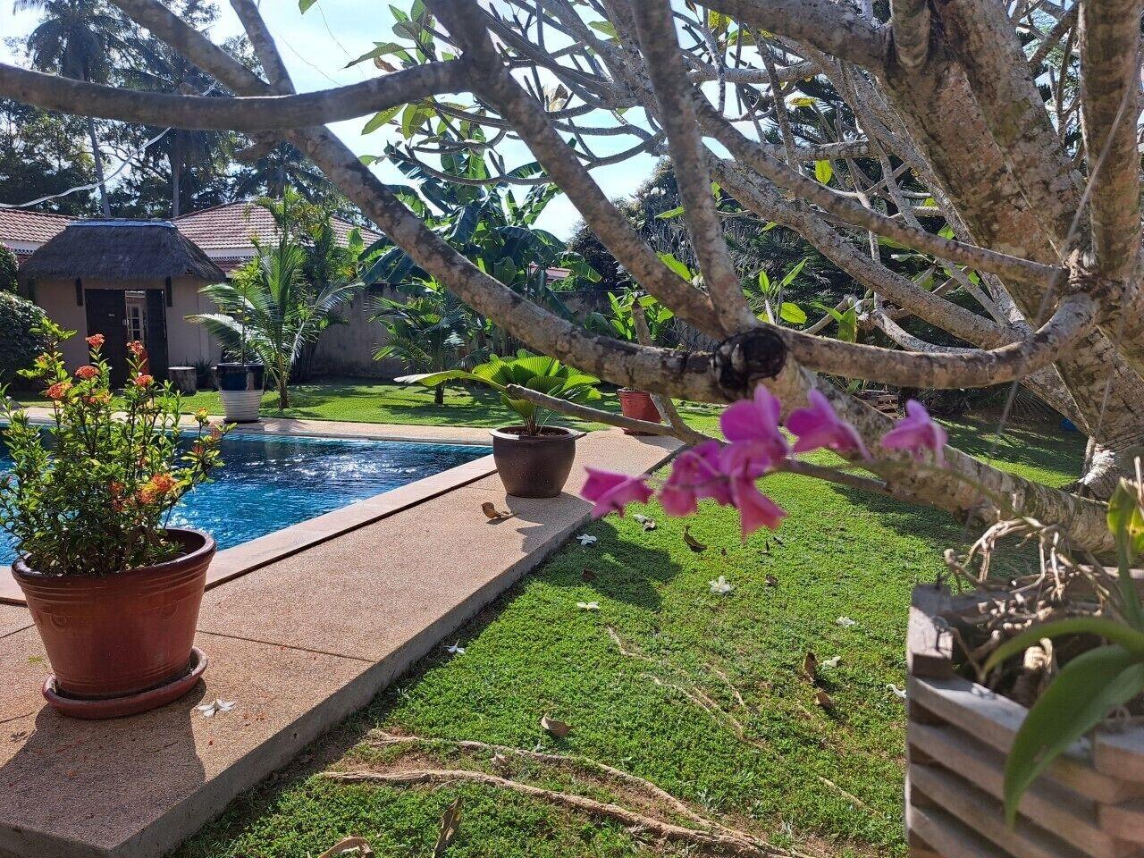 Vista Exterior Laura's Guest House - adult only -