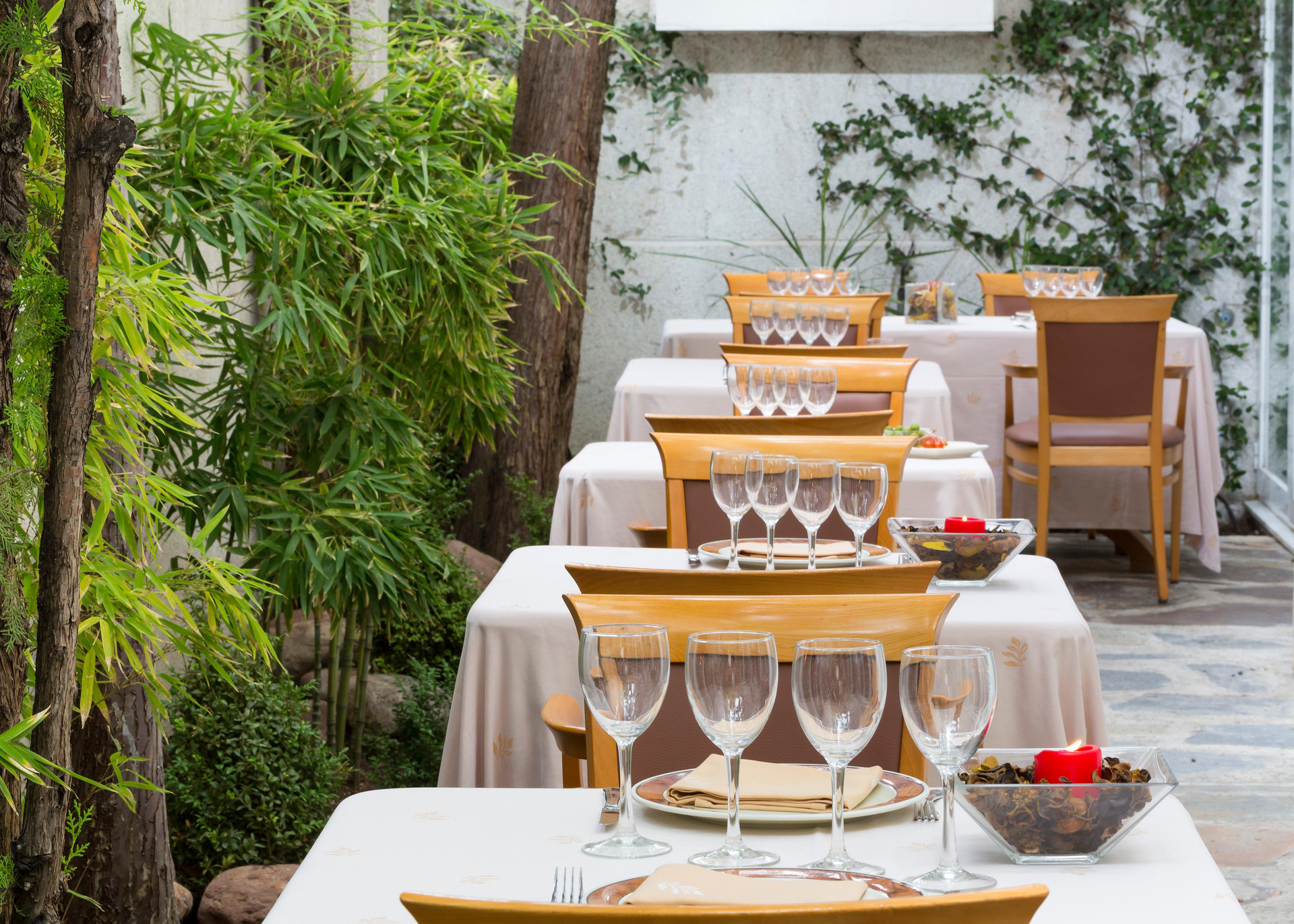 Varios VP Jardín de Tres Cantos