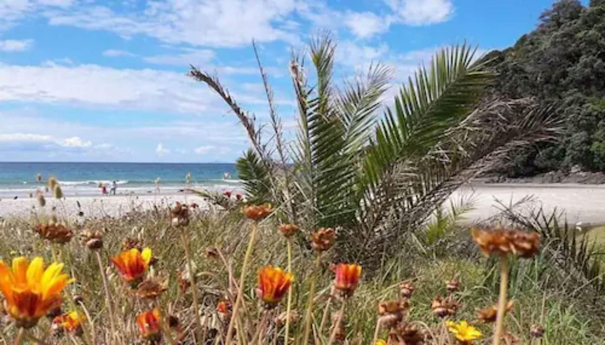 Playa Onetangi Beach Apartments