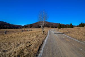 Alquiler Vacacional - Casa Foresta Pool And Whirlpool