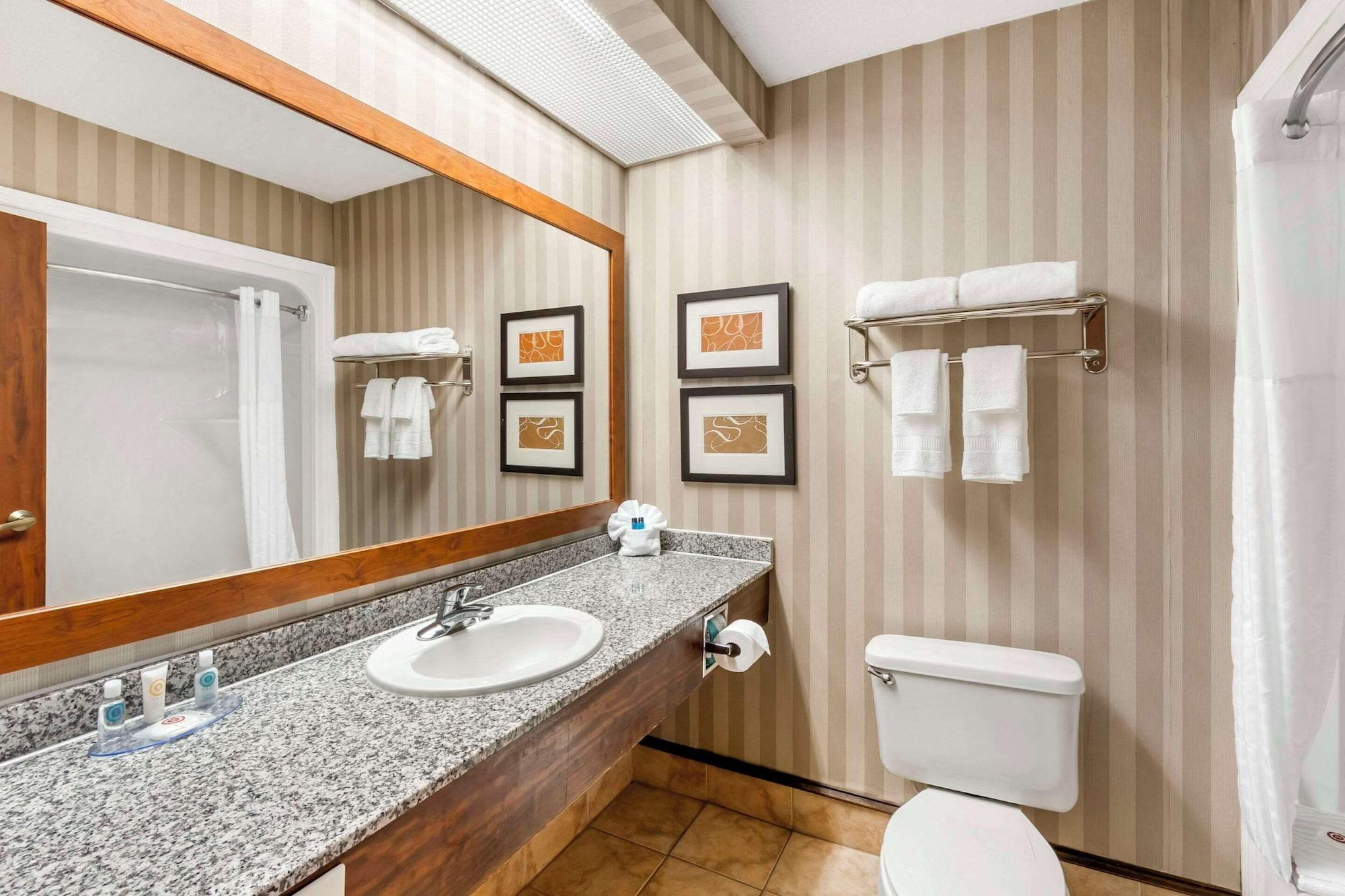 Habitación Comfort Inn Summerville - Charleston
