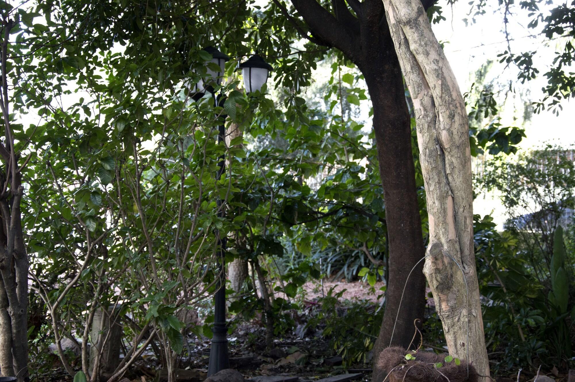 Vista Exterior Cane B&B