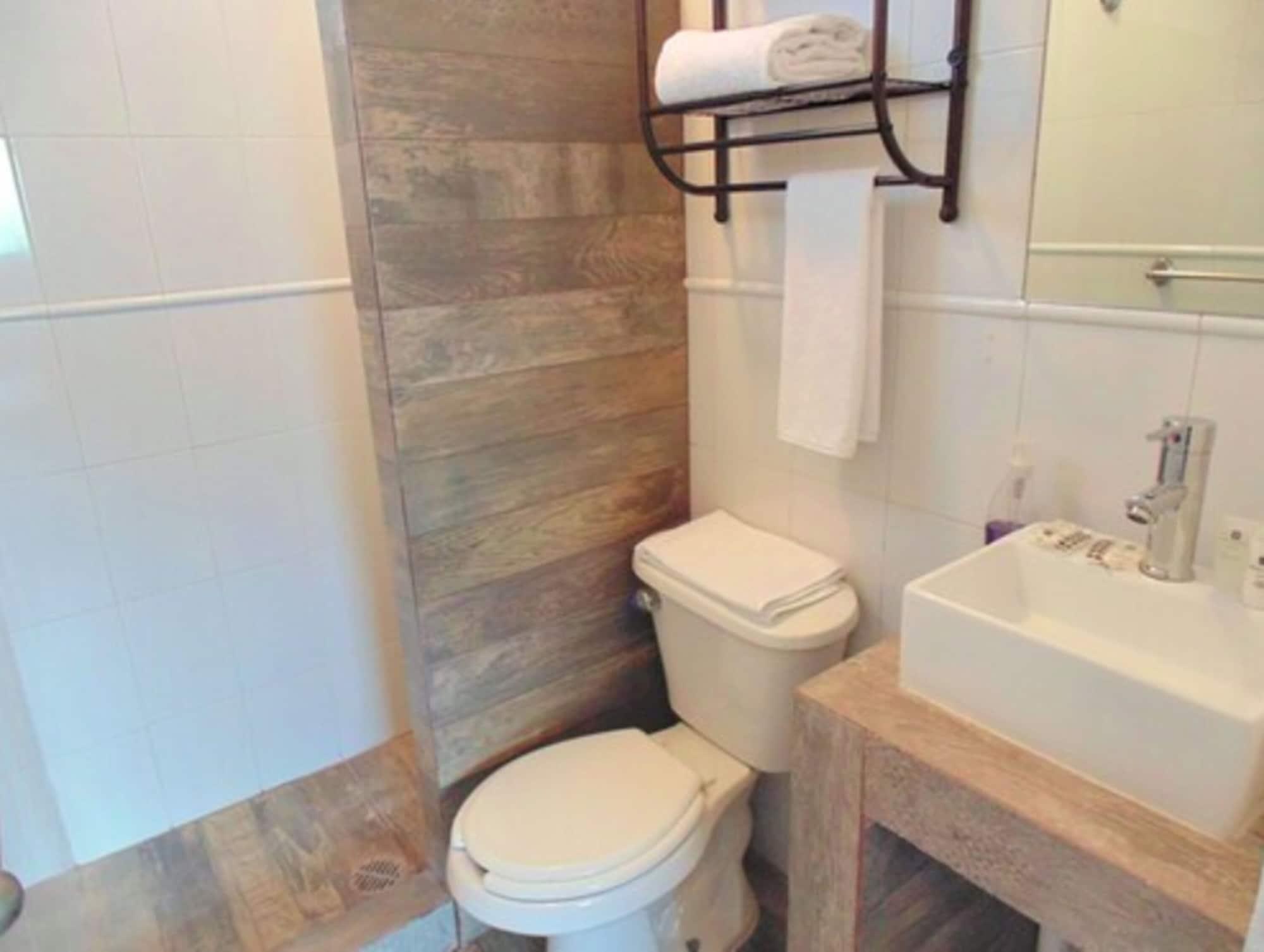 Equipamiento de Habitación Coyotito Beds Coyoacán