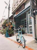 Alojamiento - Dark Street House B&B