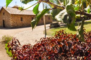 Actividad - Excursión a Santa Rosa de Quives y Canta