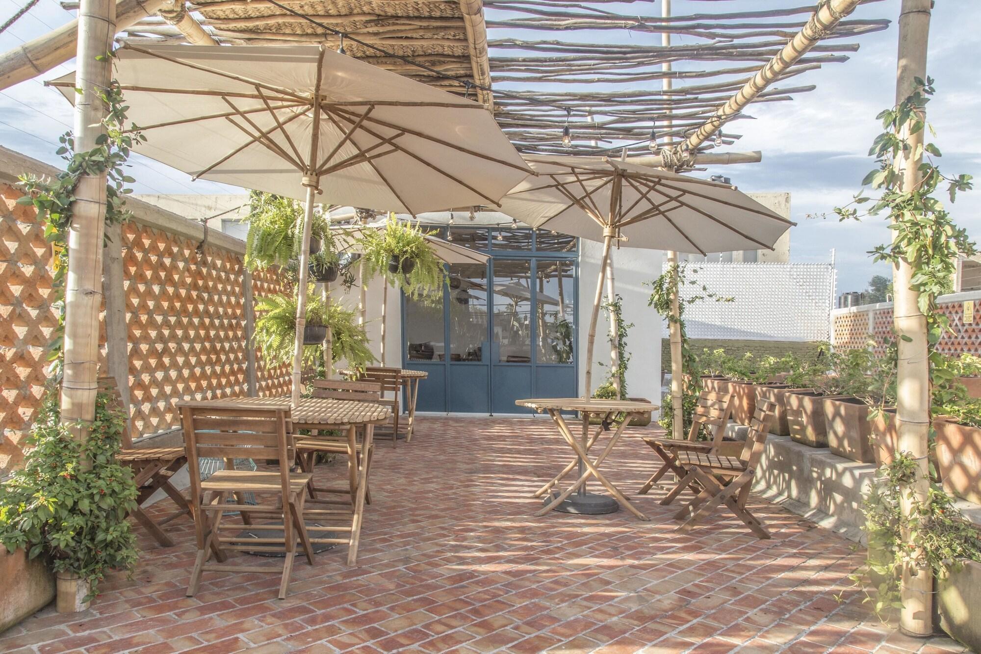 Varios Casa Morelos By Barrio Mexico