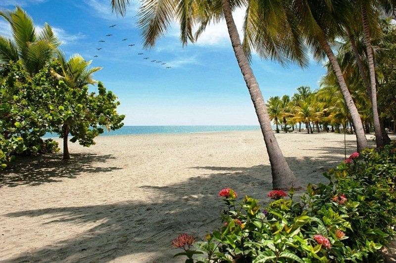 Playa Irotama XXI