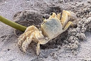 Alquiler Vacacional - La Vida at Culebra - cozy apartment with a beautiful and relaxing bay view.