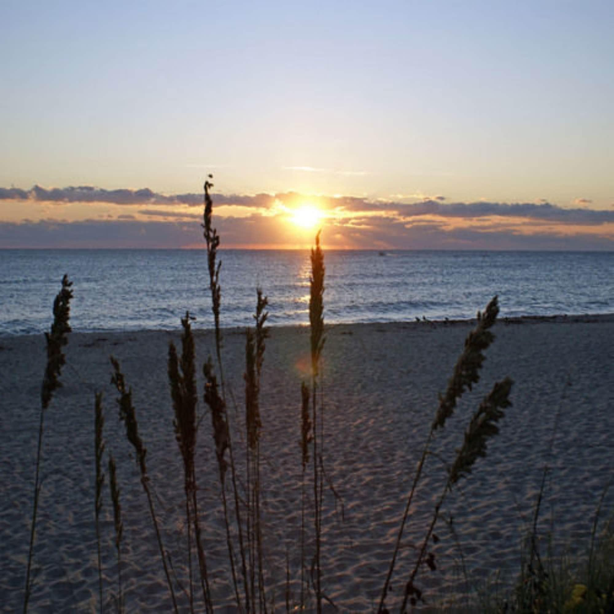 Playa Sabal Palm House Bed & Breakfast