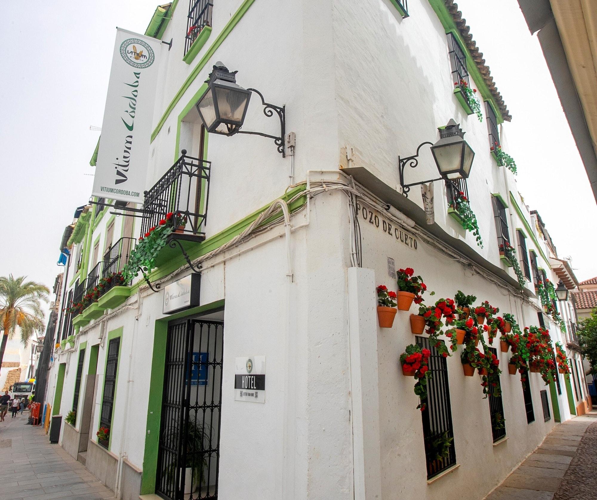 Varios Vitium Córdoba