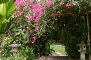 Alojamiento - Chez Charly Bungalow