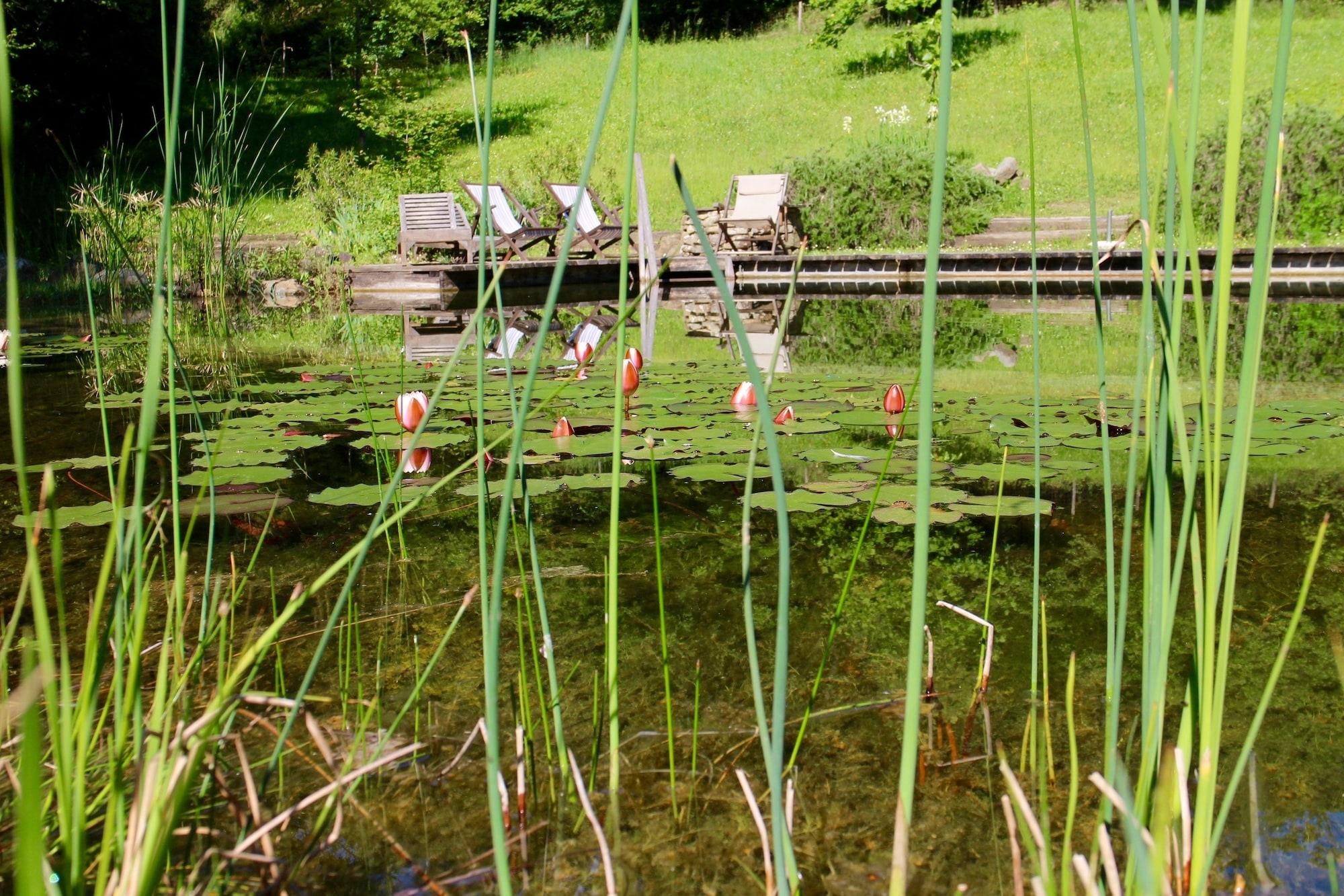 Vista Piscina Locanda Casanuova