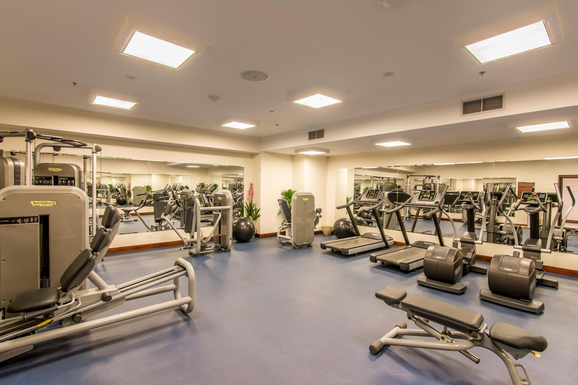 Gimnasio Crocs Resort & Casino