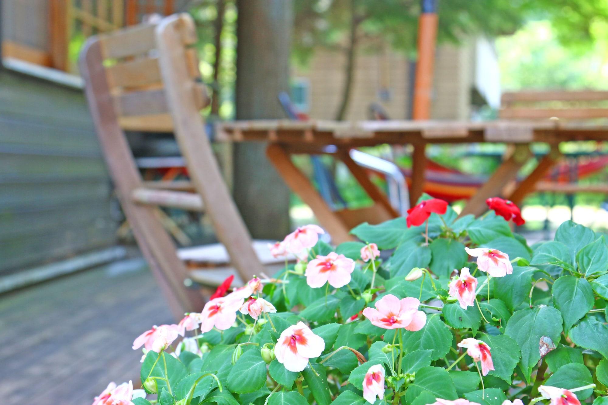 Vista Exterior Forest Resort Cosmos