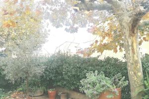 Alquiler Vacacional - Maison à 15 Minutes des Plages