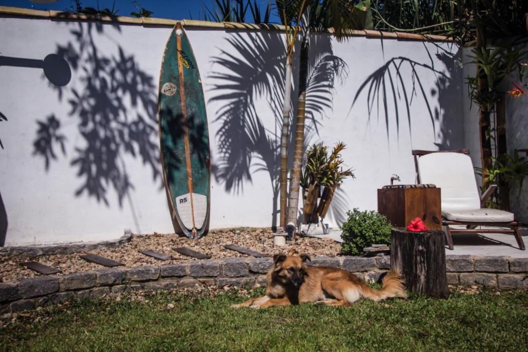 Restaurant Planeta Banana B&B