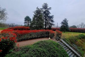 Alojamiento - Hotel Villa delle Rose