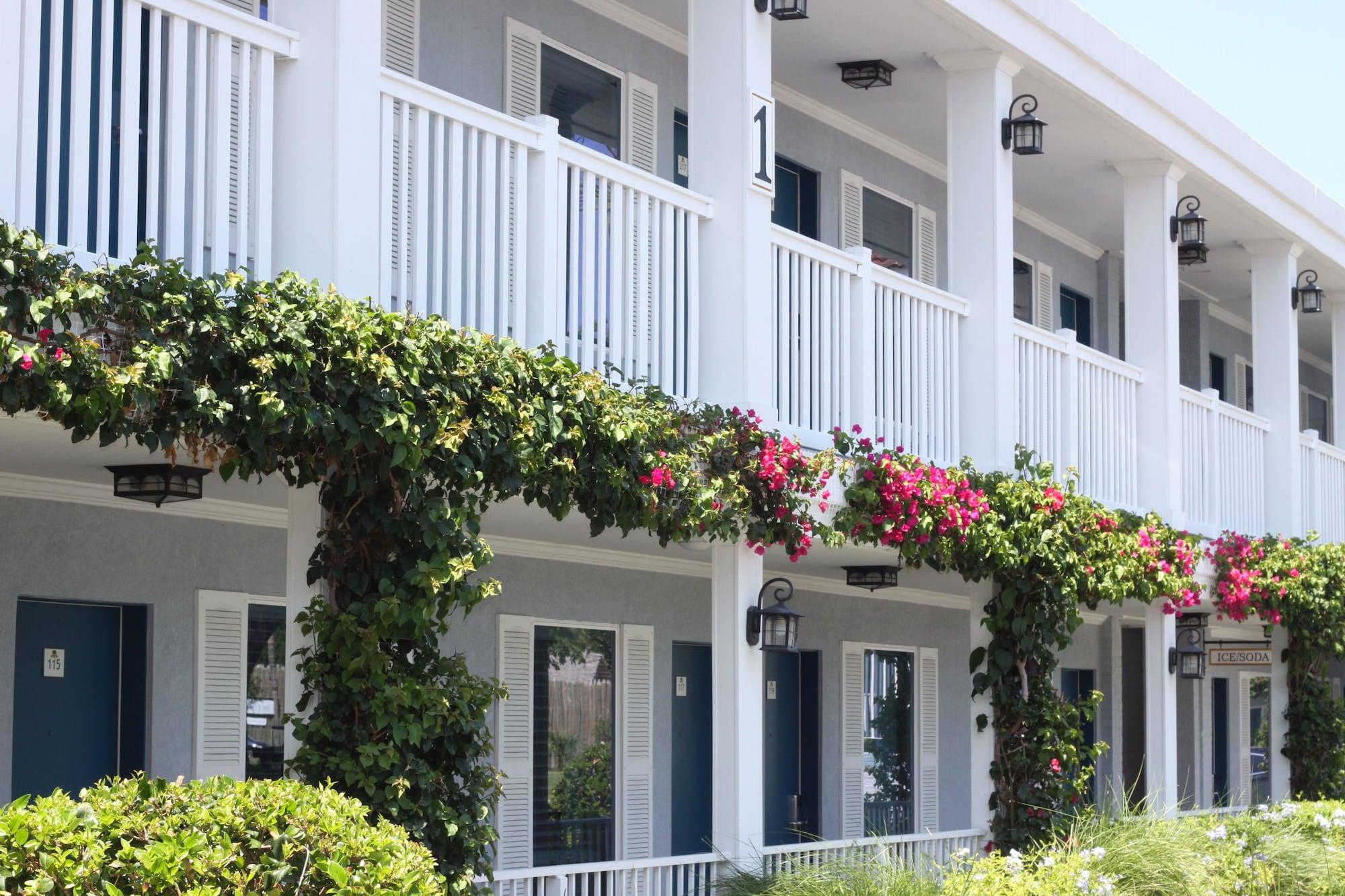 Vista Exterior Southern Oaks Inn