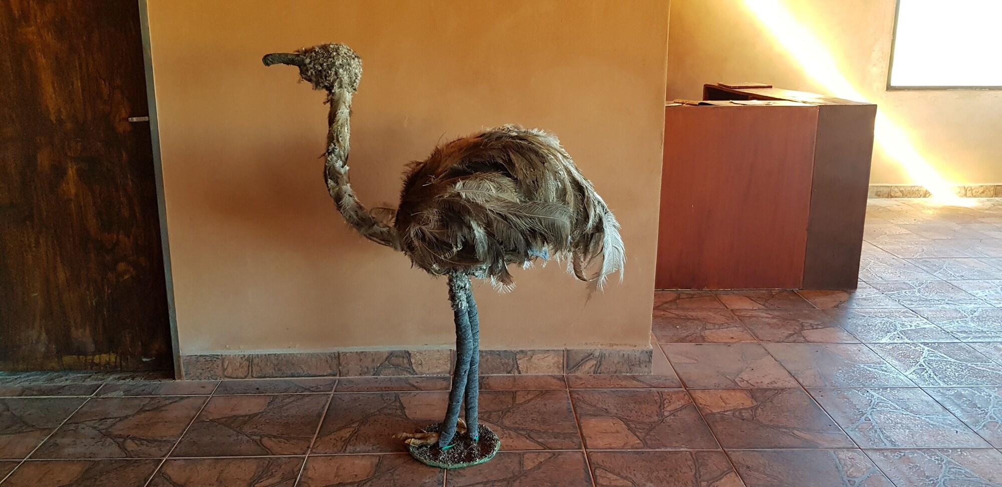 Comodidades del Alojamiento Hosteria Pucara