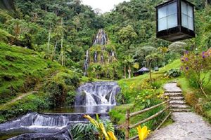 Activity - Tour to thermal springs of Santa Rosa, Filandia and Salento