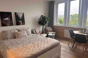 Alquiler Vacacional - Le Petit Port, quiet apartment 5 minutes from the town center. Pets welcome!
