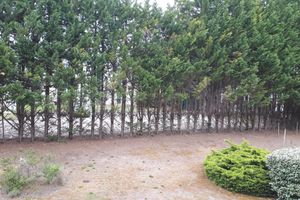 Alojamiento - Brit Hotel Bordeaux Aéroport - Le Soretel