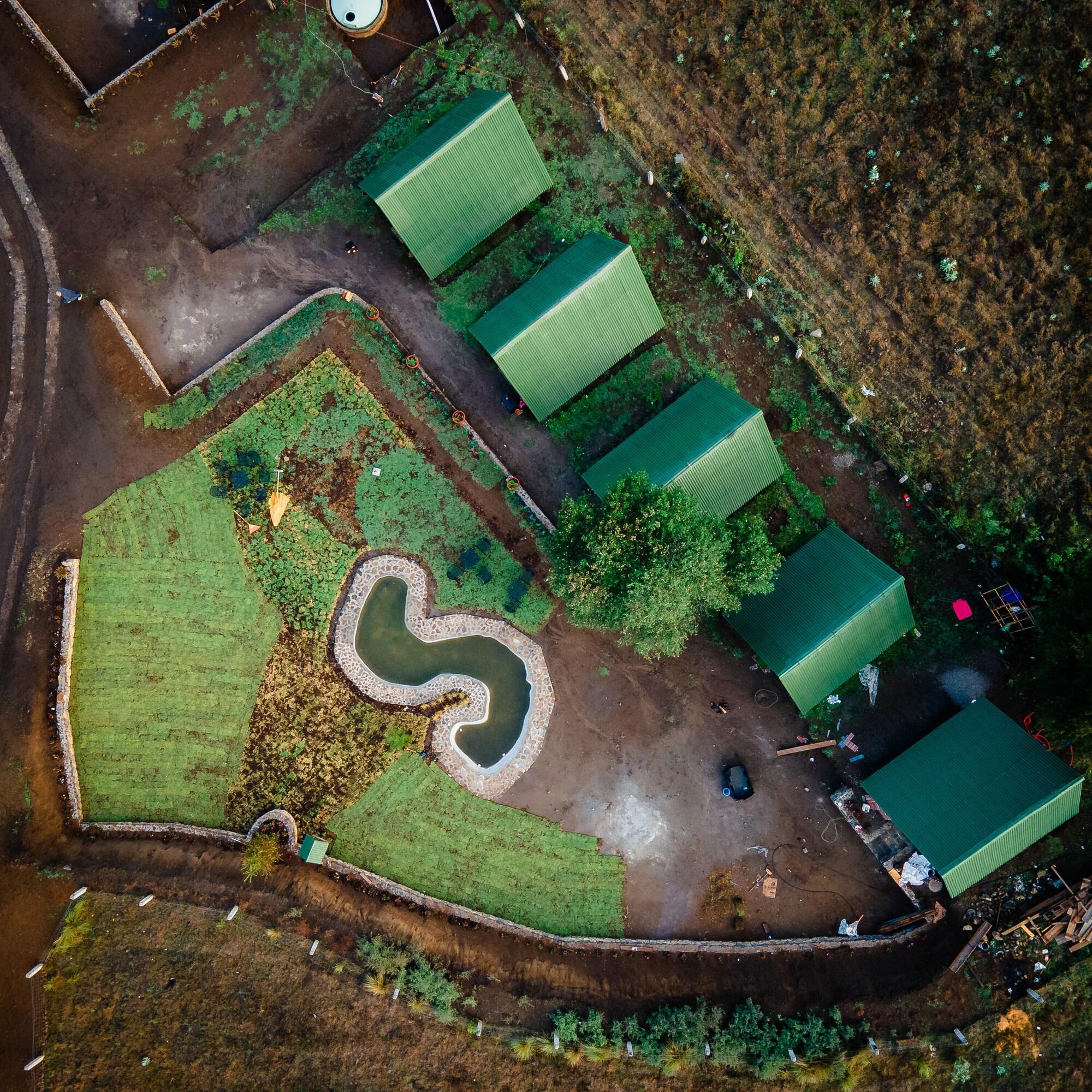 Varios Bosque de Perlillas