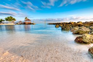 Vuelo - Vuelos a Nassau