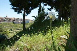 Alojamiento - Los Trulls d'Auligué