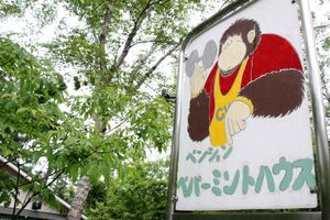 Alojamiento - Pension Peppermint House