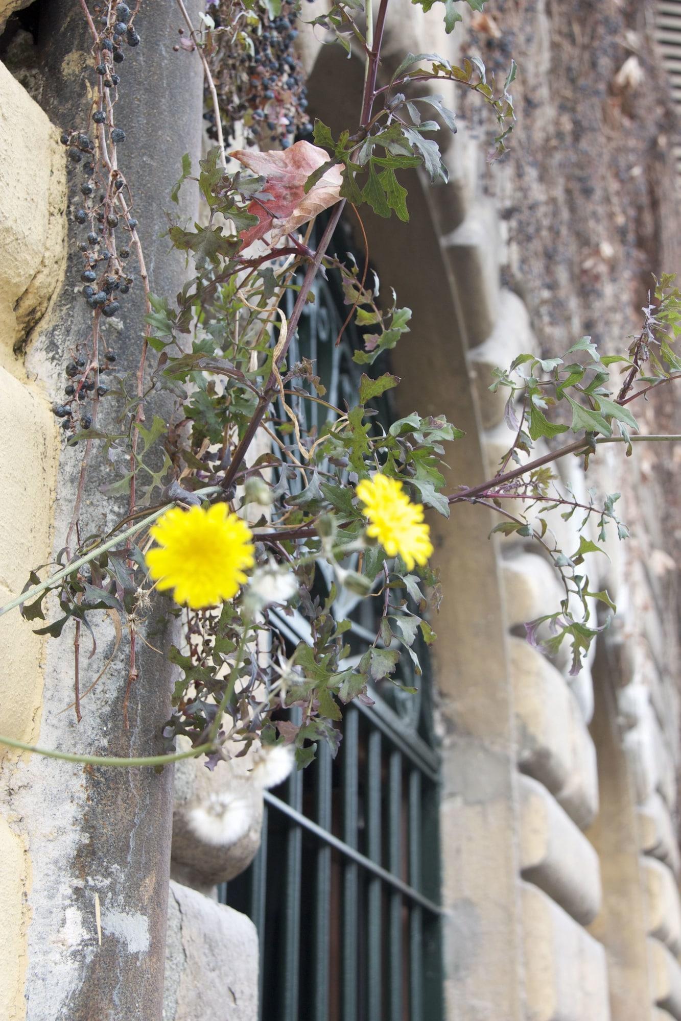 Vista Exterior Fori Romani B&B