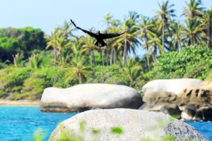 Paquete - Paquetes a Santa Marta