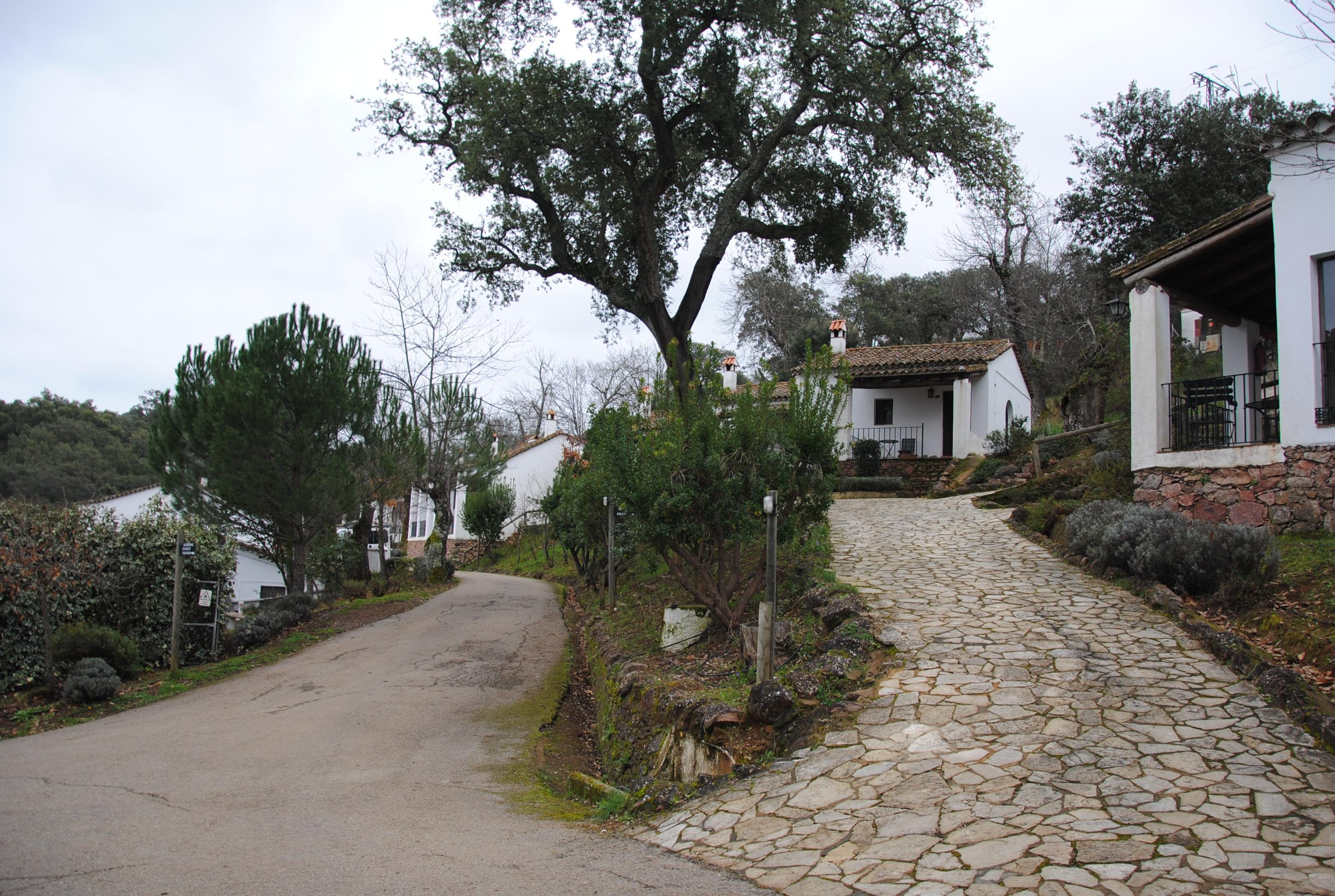 Vista Lobby Finca Valbono