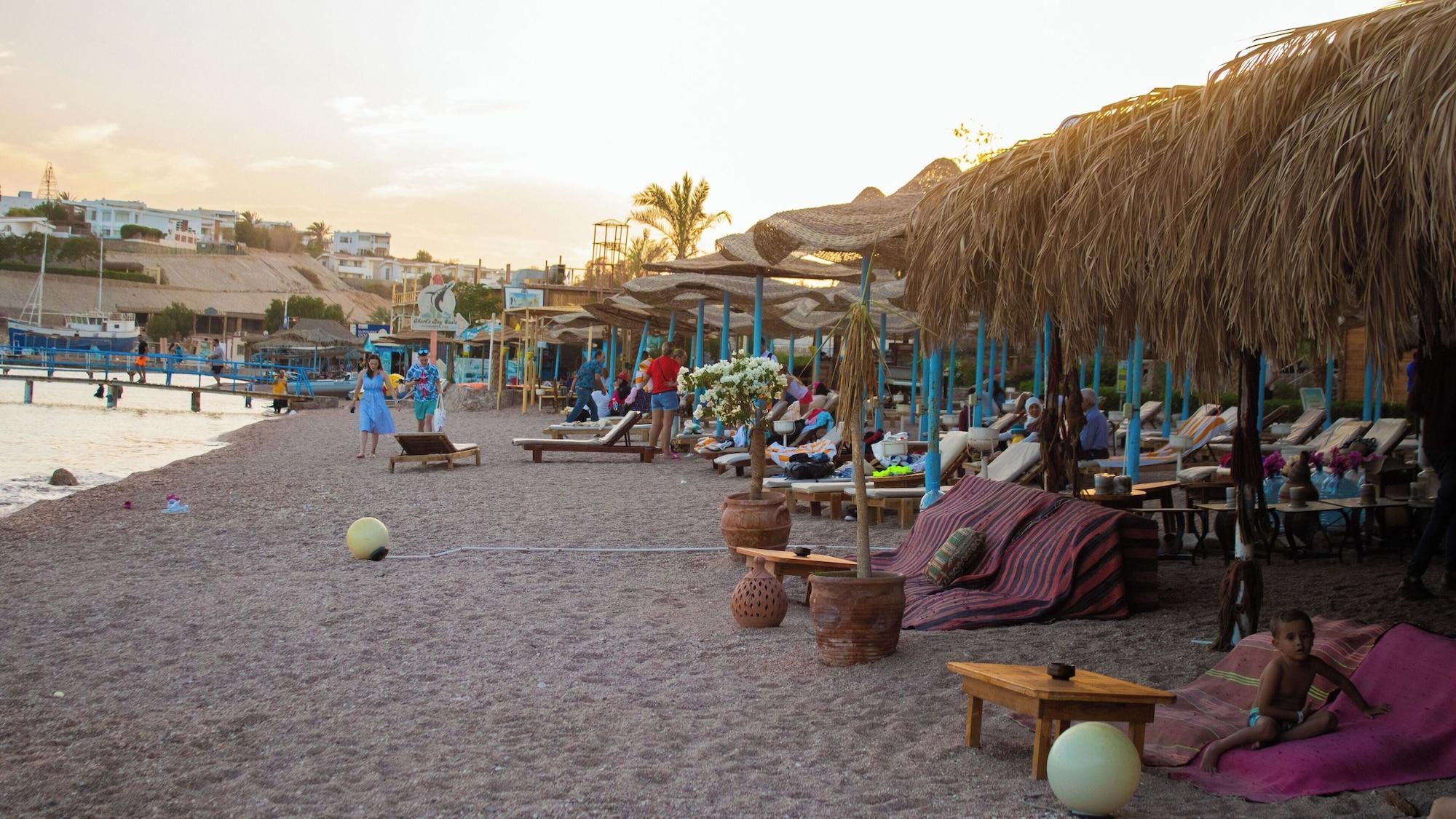 Playa Shark's Bay Oasis Aqua Park Hotel